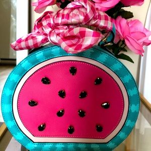 Aldo Watermelon bag